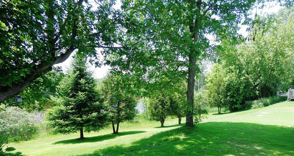 Motel Des Deux Lacs Waterloo Екстериор снимка